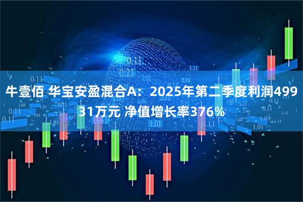 牛壹佰 华宝安盈混合A：2025年第二季度利润49931万元 净值增长率376%
