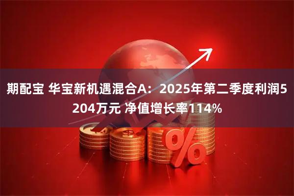 期配宝 华宝新机遇混合A：2025年第二季度利润5204万元 净值增长率114%