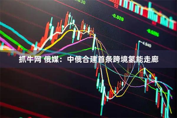 抓牛网 俄媒：中俄合建首条跨境氢能走廊